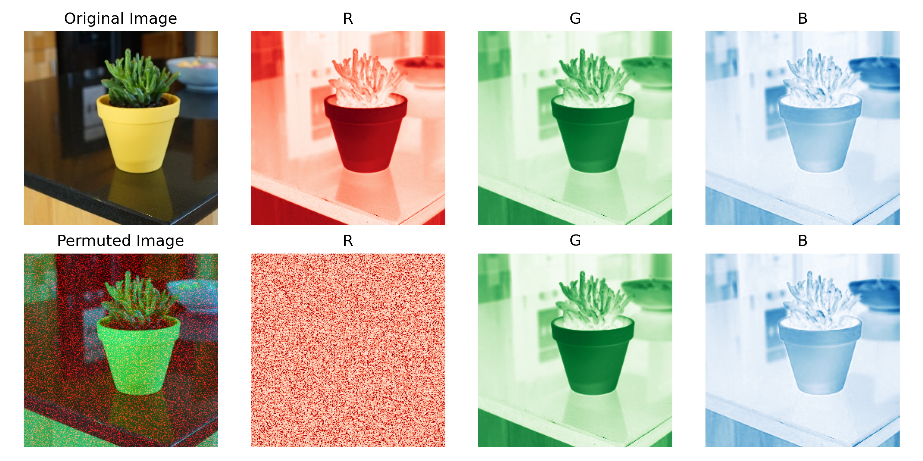 Figure 1: permuting the red channel of an RGB image (source: author)