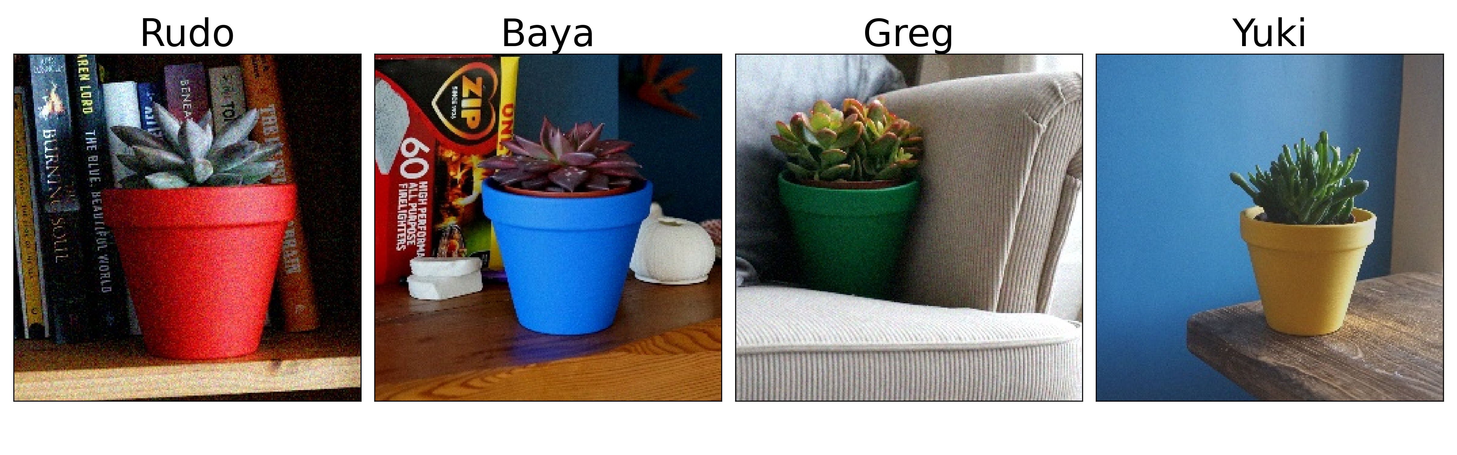 Figure 2: examples from the validation set of the pot plant dataset. The dataset contains images of 4 different house plants. The target (i.e names) for each plant is given above the image. (source: author)