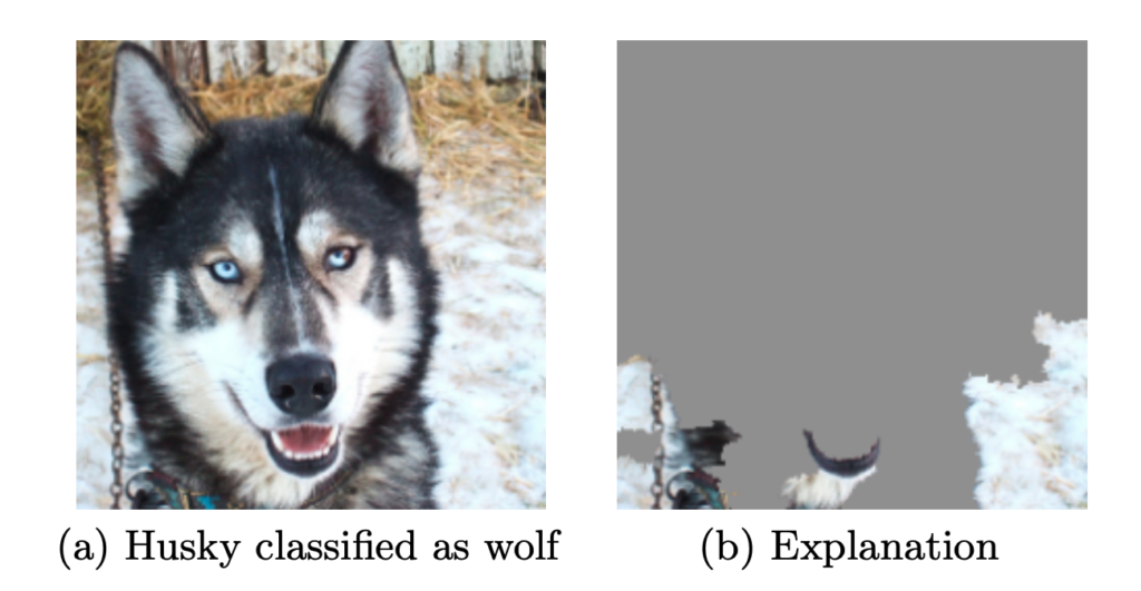 Raw data and explanation of a bad model’s prediction in the “Husky vs Wolf” task.