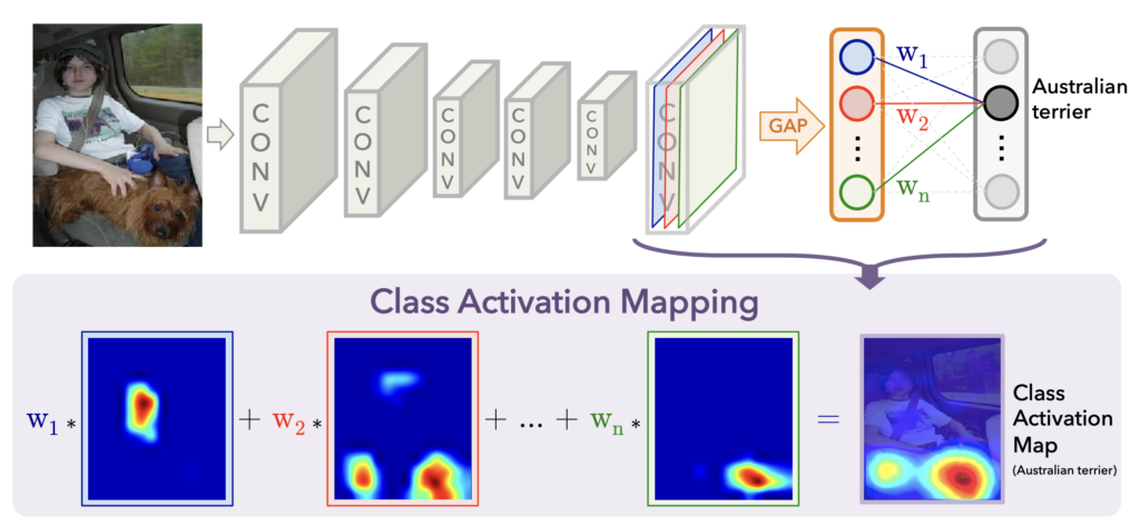 the weighted sum of all activated feature maps (source:~\cite{cam})