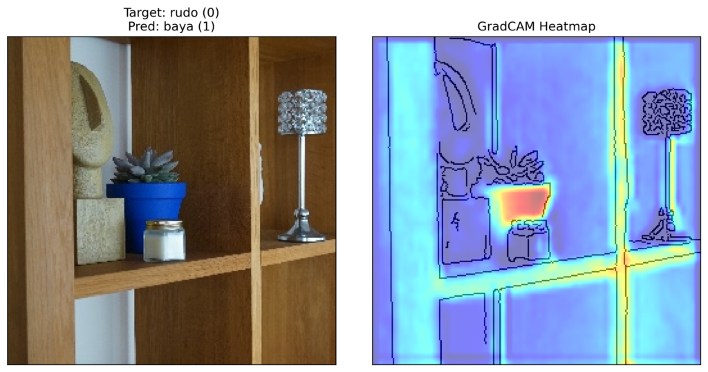 Grad-CAM heatmap for a pot plant called Rudo(0)