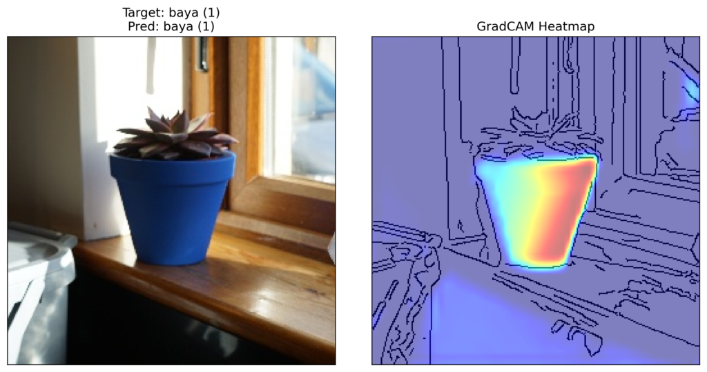 Grad-CAM heatmap for Baya(1)