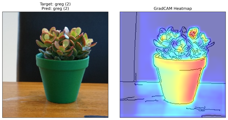 Grad-CAM for Explaining Computer Vision Models - A Data Odyssey