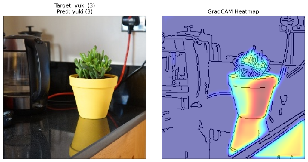 Grad-CAM heatmap for Yuki(3)