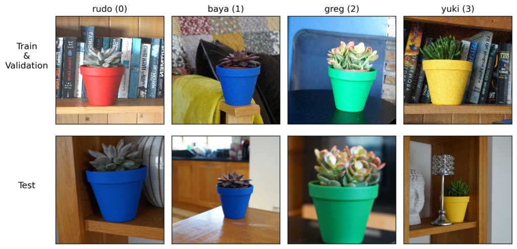 example instances from the Pot Plant dataset. Rudo is in a new pot for the test set after dropping its original pot.