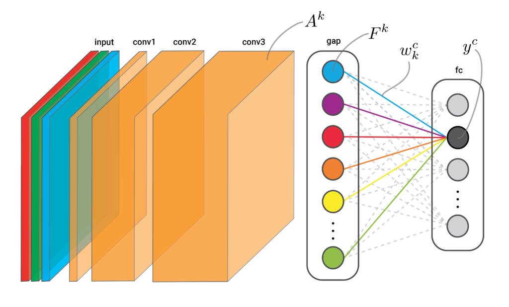 global average pooling network. CAMs require a convolutional layer followed by a GAP and a fully connected layer.