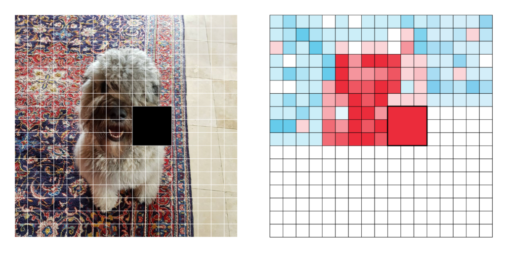 the occluded image and related saliency map. Red indicates higher saliency and blue indicates lower saliency.