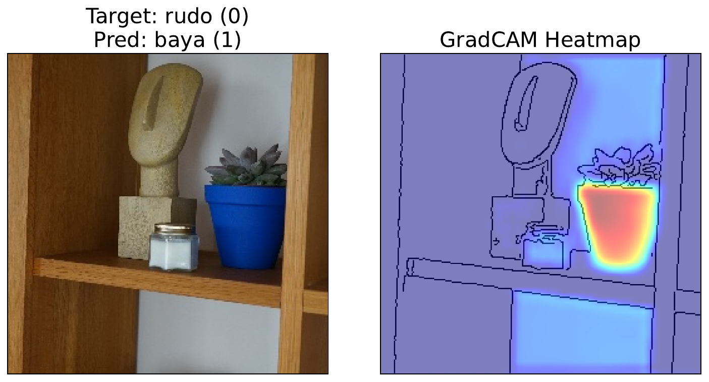 Grad-CAM heatmap for Rudo(0).
