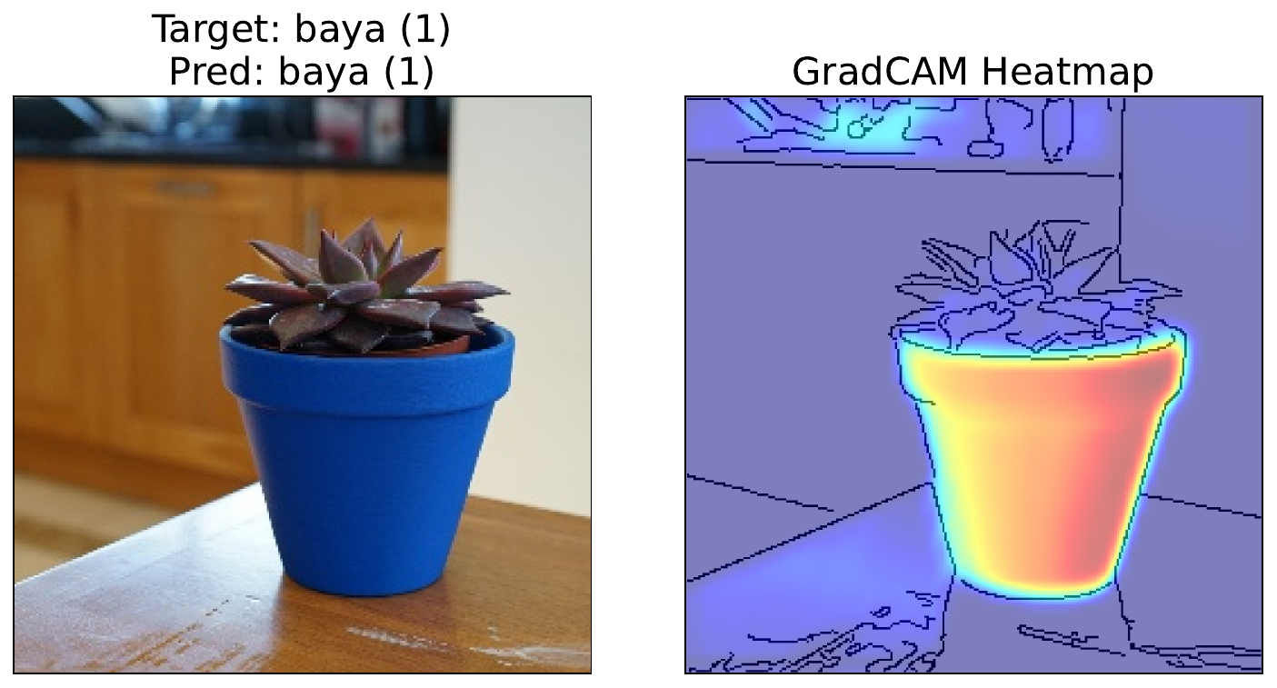 Grad-CAM heatmap for Baya(1).