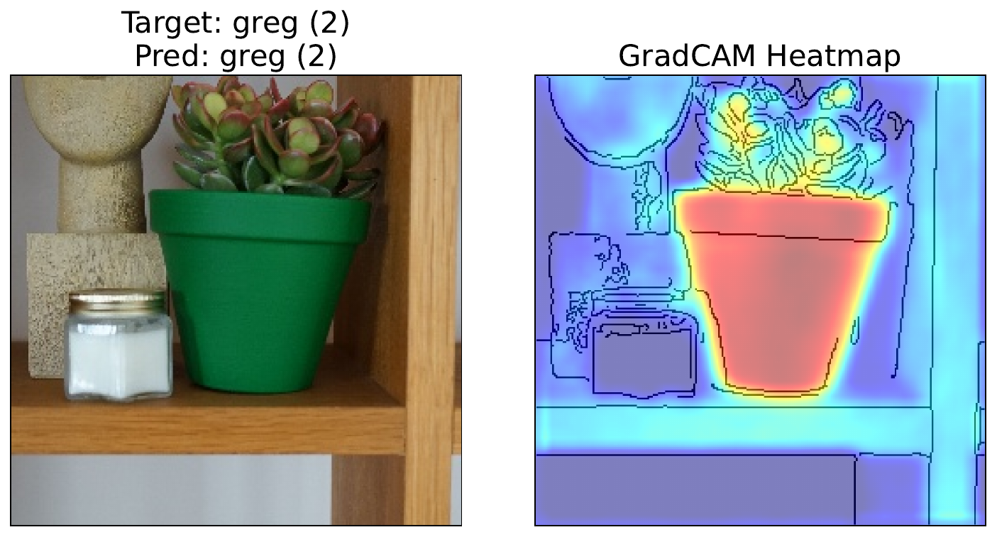 Grad-CAM heatmap for Greg(2).