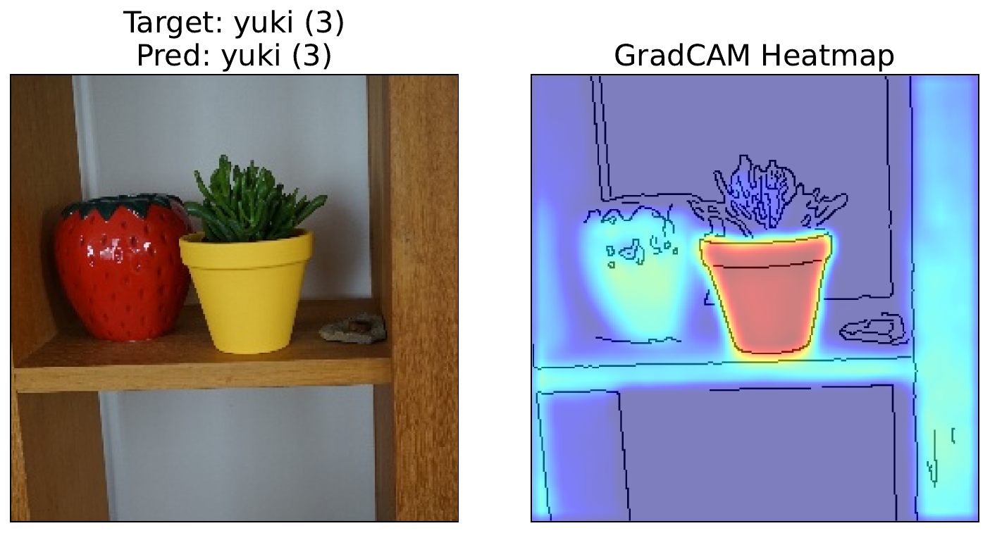 Grad-CAM heatmap for Yuki(3).