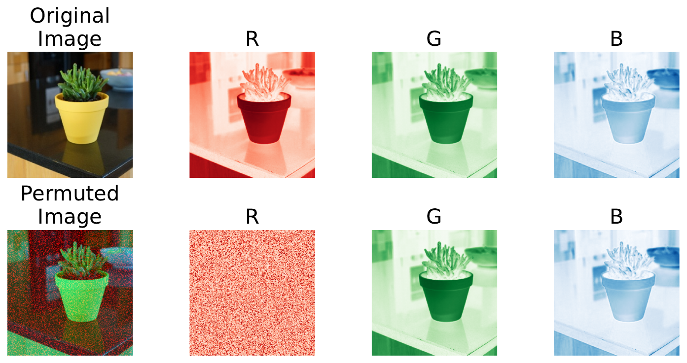 permuting the red channel of an RGB image. We compare the predicted logit for this plant class before and after the channel is permuted.
