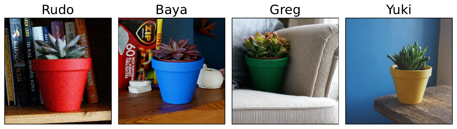 examples from the validation set of the pot plant dataset. The dataset contains images of 4 different house plants. The target (i.e. names) for each plant is given above the image.