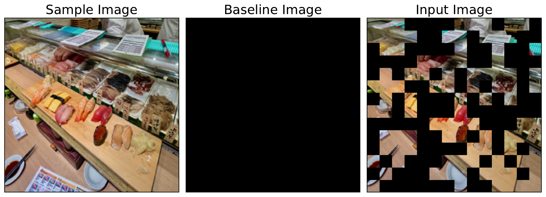 example of an input image constructed for baseline SHAP explanations. Random parts of the sample image are replaced with corresponding pixels for the baseline image.