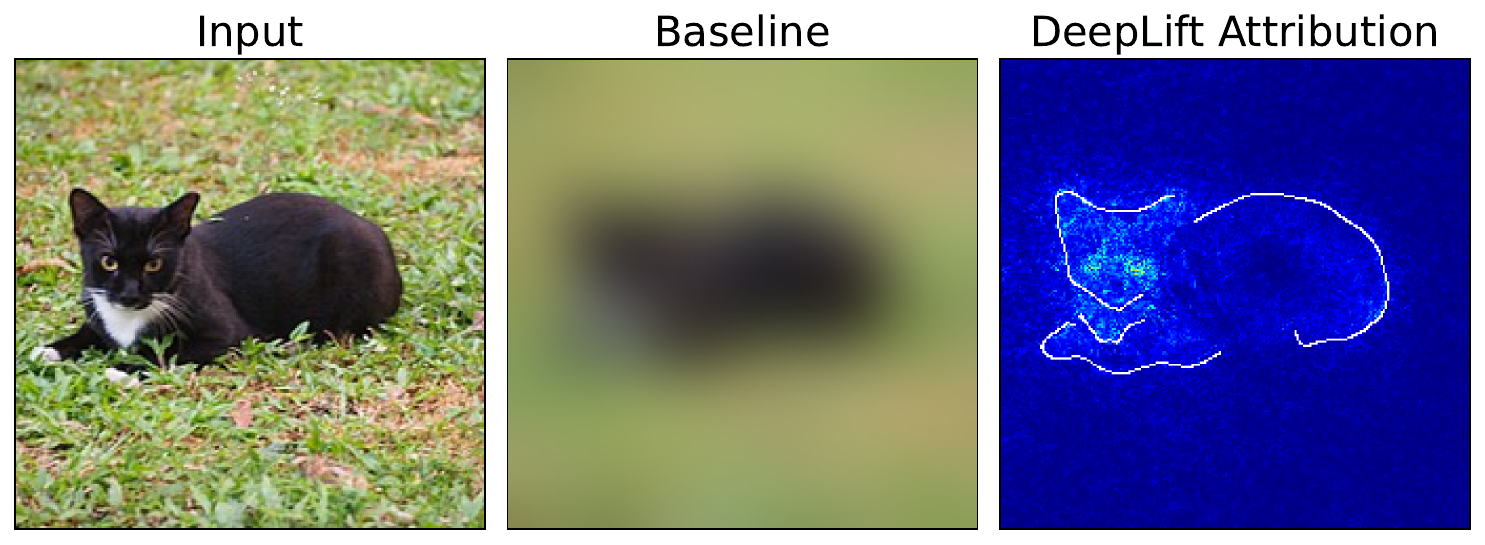 DeepLIFT attributions using a blurry baseline.