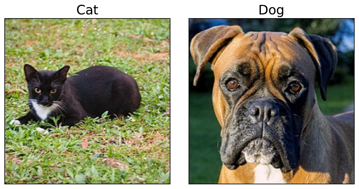 Input images of a cat (license: CC BY 4.0) and a dog (license: CC)
