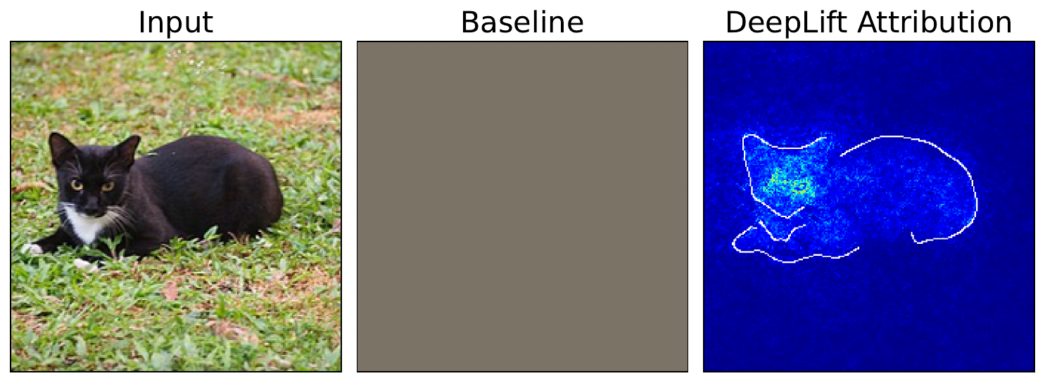 DeepLIFT attributions using a mean baseline.