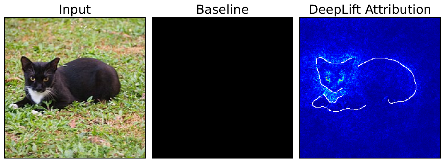 DeepLIFT attributions using a zero baseline.