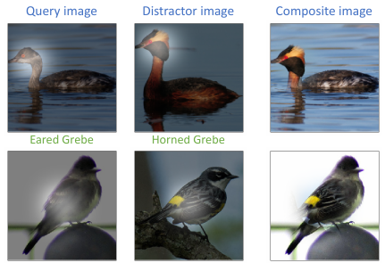 a counterfactual visual explanation. The minimal area in each image is found so that the classification changes from the bird in the query image to the one in the distractor image (source [9]).