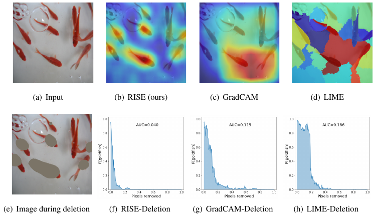 deletion curves for goldfish classification. The pixels are ranked using the saliency maps in the first rows. The curves on the second row show the predicted probabilities for the goldfish class as we delete each pixel (source [7]).