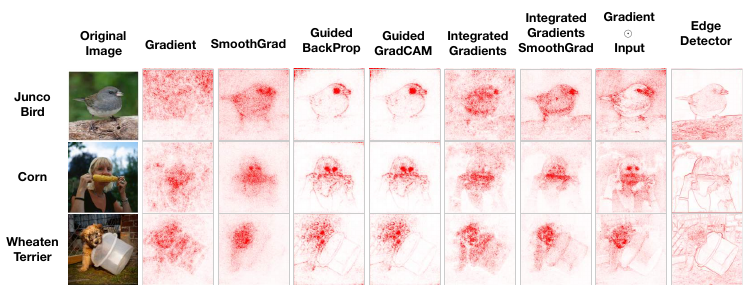 Comparison of various explanations to a deterministic edge detection algorithm. Visually, the edge detector may seem to provide a reasonable explanation despite not depending on the underlying model.
