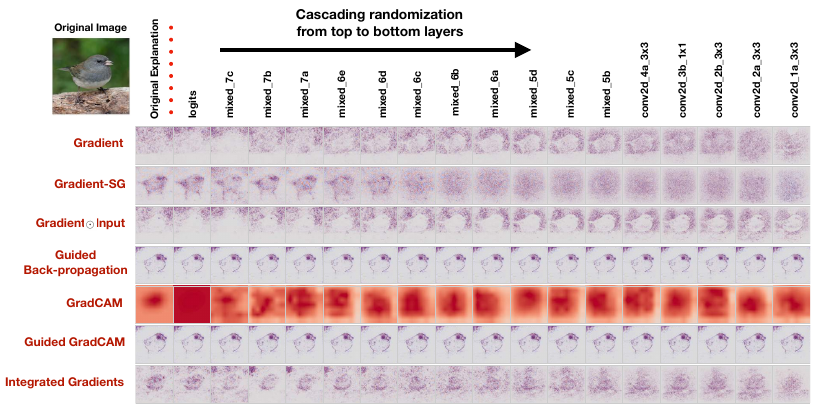 sanity check for saliency maps. The first column gives the saliency maps for the pretrained ImageNet model. The layers of the network are given in the first row. We randomise the network starting from the deepest layer (logits), progressing to the earlier layer (conv2d_1a_3x3) and display the saliency maps for each step. By the end, the entire network is randomised (source: [3]).