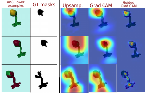 examples of synthetic ground truth masks from the an8Flower dataset. Different coloured parts correspond to different classes. The mask gives the part that can be used to discriminate a given class (source [4]).