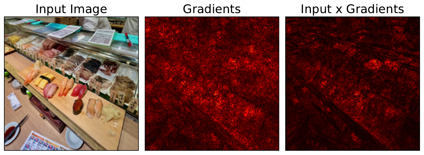 a comparison of gradients and Input X Gradients saliency maps (License: CC-BY-4.0).