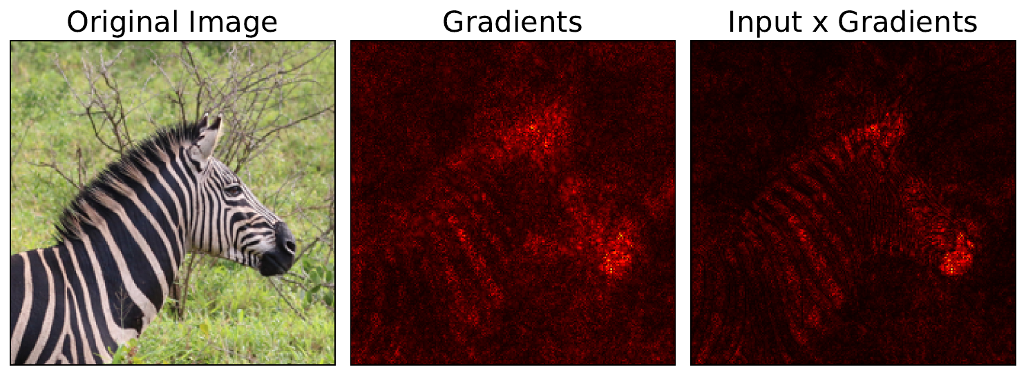 Input X Gradients using a different input image of a zebra (License: CC-BY-4.0).