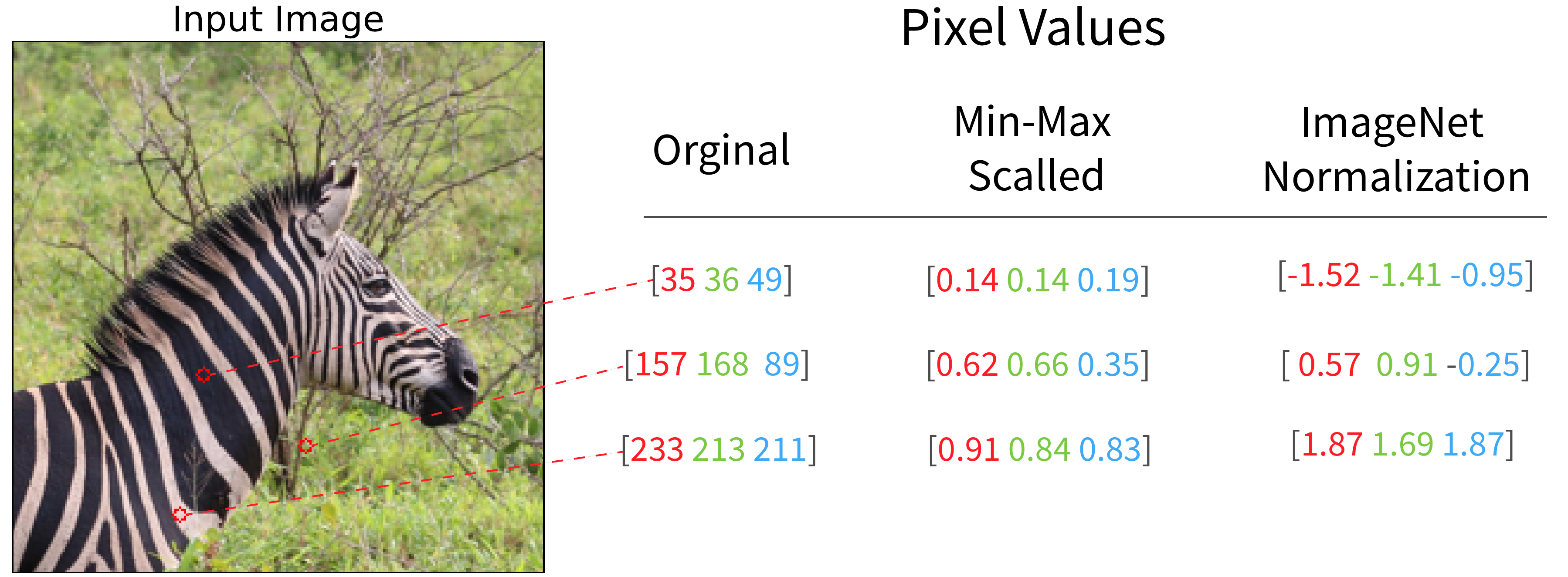 different encodings of pixel values. For min-max scaling dark pixels will tend to have lower values. For normalization, we are biased against more central values like those from the background.