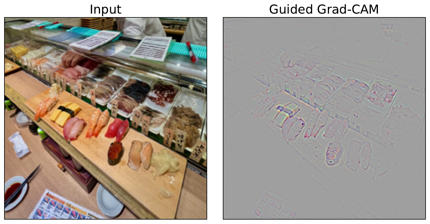 Guided Grad-CAM attributions.