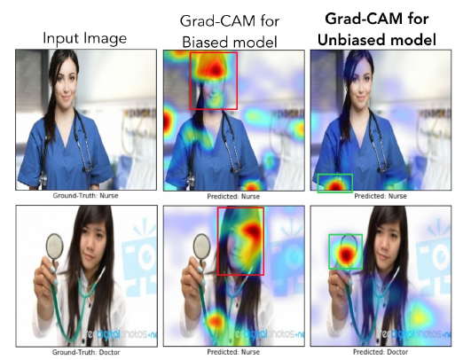 Grad-CAM used to explain a biased model (source: [1]).