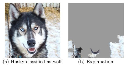 raw data and explanation of a bad model’s prediction in the “Husky vs Wolf” task (source: [2]).