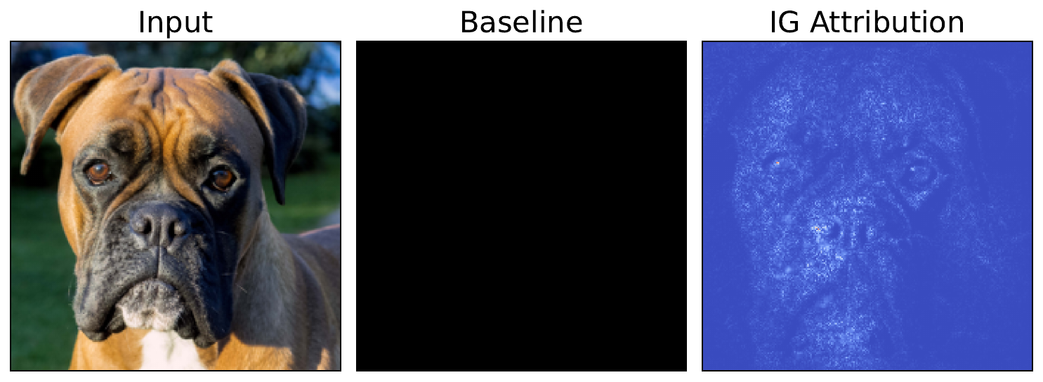 Integrated gradients attributions using default number of steps. This shows the marginal effect of each pixel on the output when compared to the baseline.