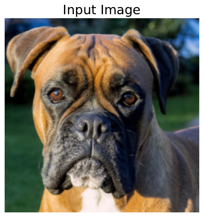 Input images of a dog (license: CC).