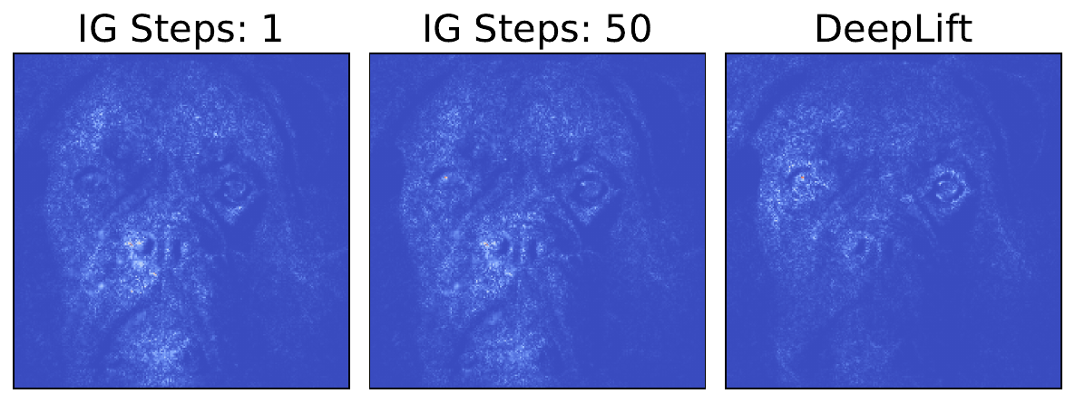 Attributions obtained using Integrated gradients compared to DeepLIFT. It has been shown empirically that DeepLIFT can provide a good approximation for IG for simple models.