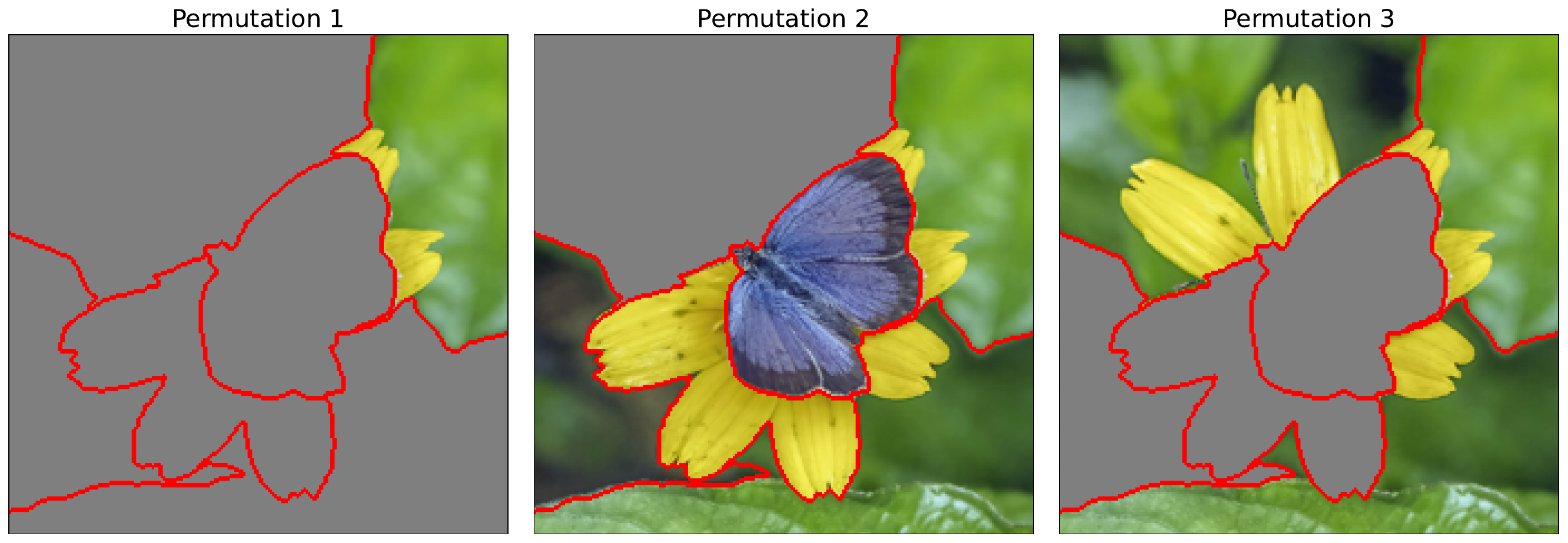 examples of permutations used by LIME. Each permutation is created by randomly selecting superpixels and replacing them with a baseline value.