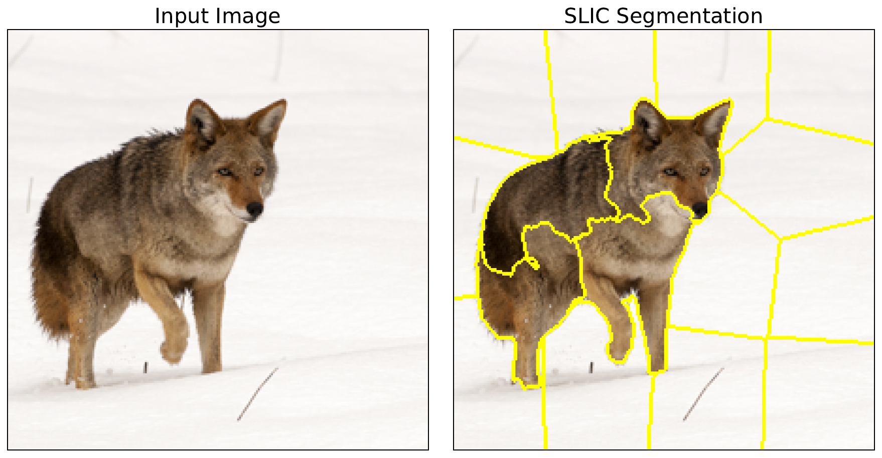 Features created using the SLIC superpixel algorithm. Each segment will be permuted together when generating LIME attributions.