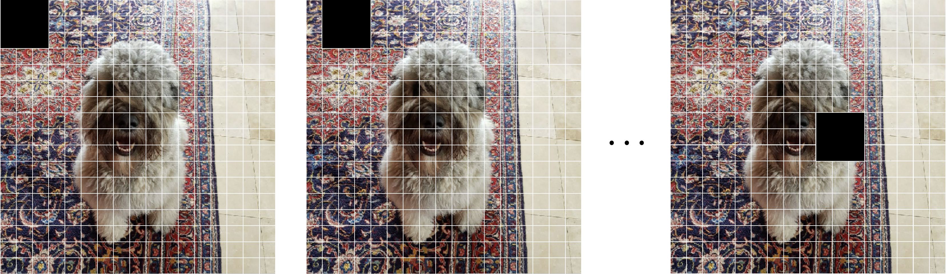 systematic occlusion with a regular patch and stride.