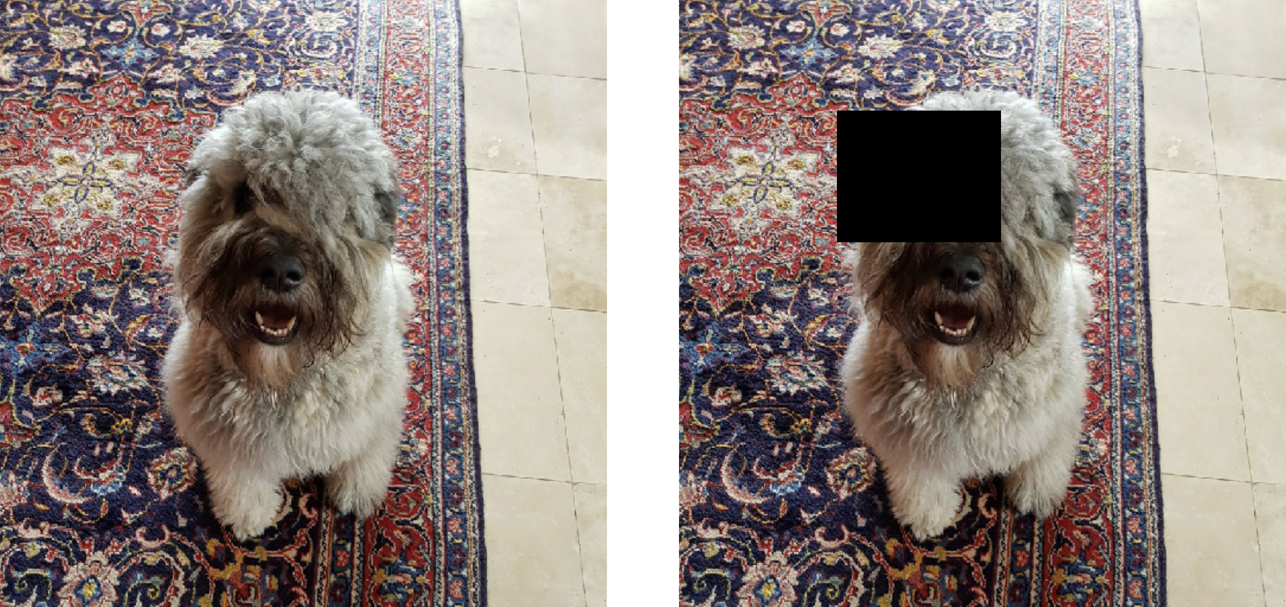 occluding an input image using a black occlusion patch