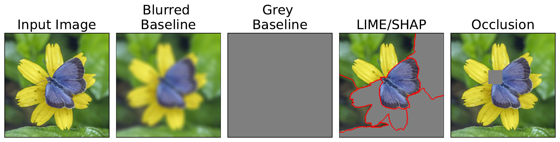 examples of baselines and permutations. The grey and blurred baselines will be used by methods like DeepLIFT and Integrated Gradients. LIME and SHAP permute images by replacing entire superpixels with a baseline value, and occlusion will replace regular squares with the baseline value.