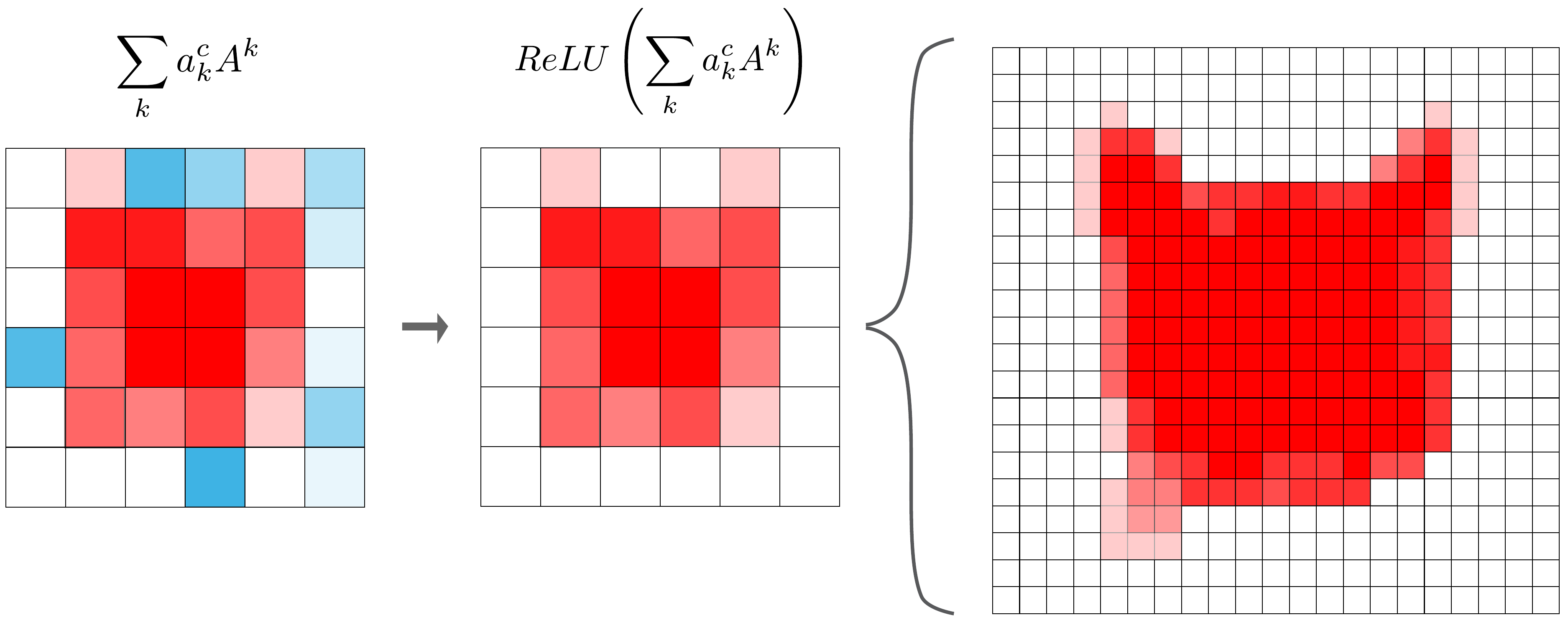 the final steps of the Grad-CAM algorithm. We apply the ReLU activation function to the weighted feature map and interpolate the result so it has the same dimensions as the input image.