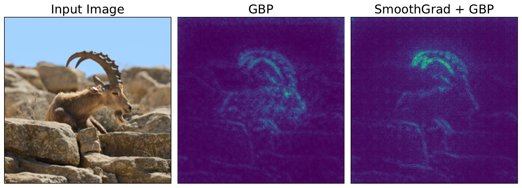 comparison of GBP with and without SmoothGrad.