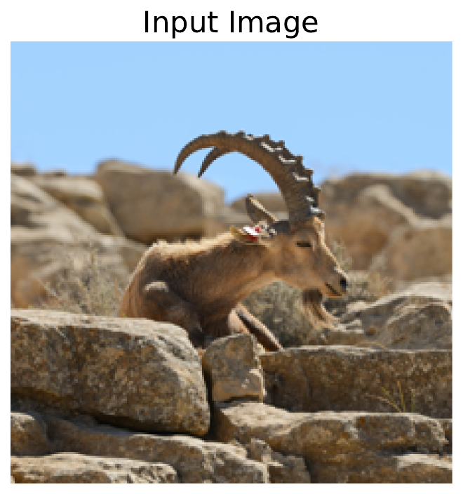 input image of a goat (license: CC BY-SA 4.0)