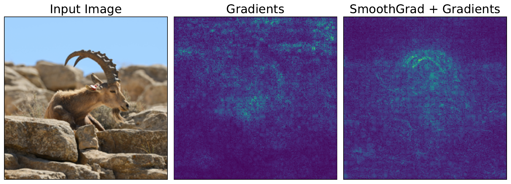 comparison of vanilla gradients with and without SmoothGrad.
