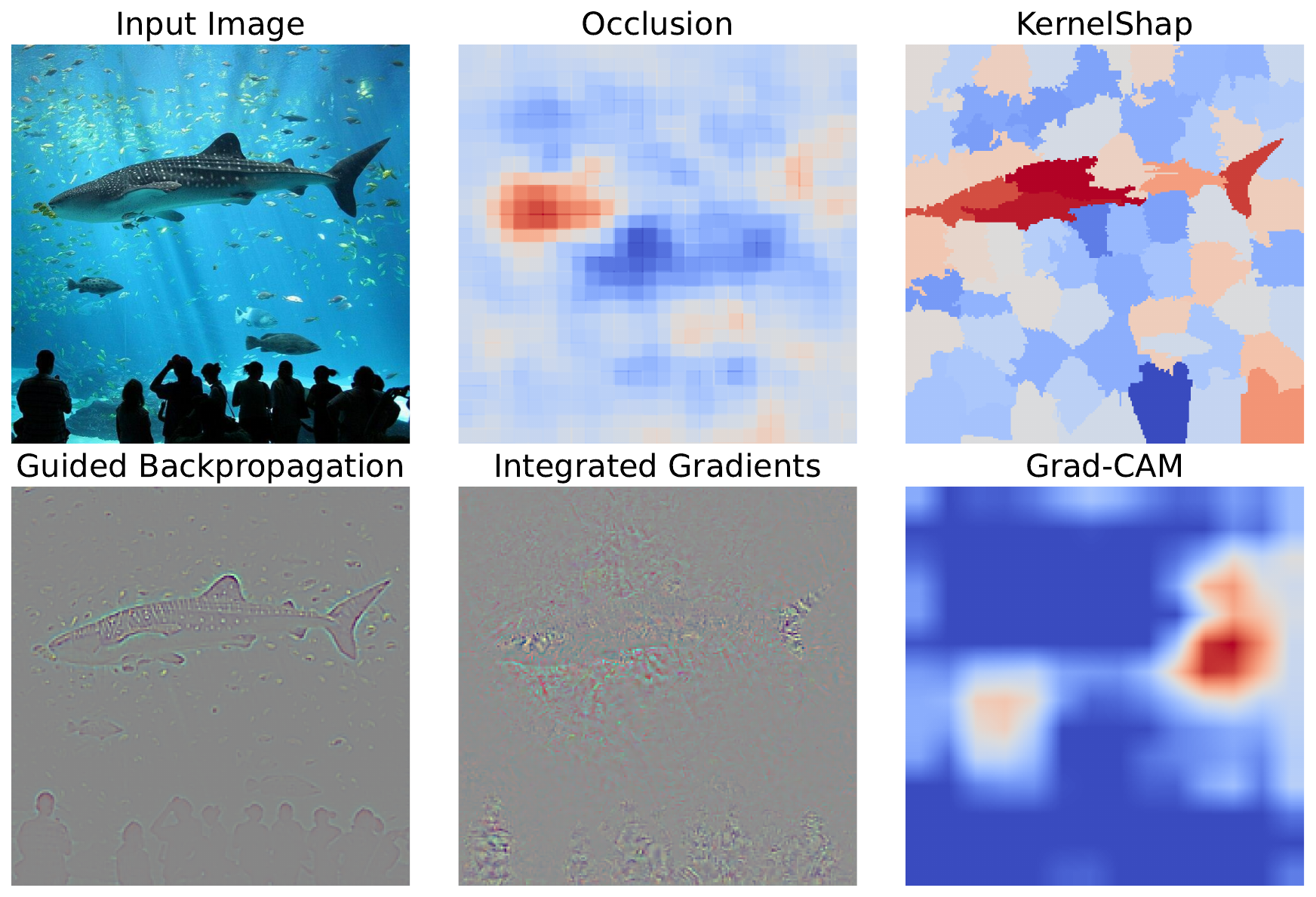 examples of 5 different saliency (attribution) methods. They show which pixels have contributed to the prediction for the given input image. For the model, the VGG16 architecture pretrained on ImageNet is used. This gives the highest probability of 0.45 for the tiger shark class.